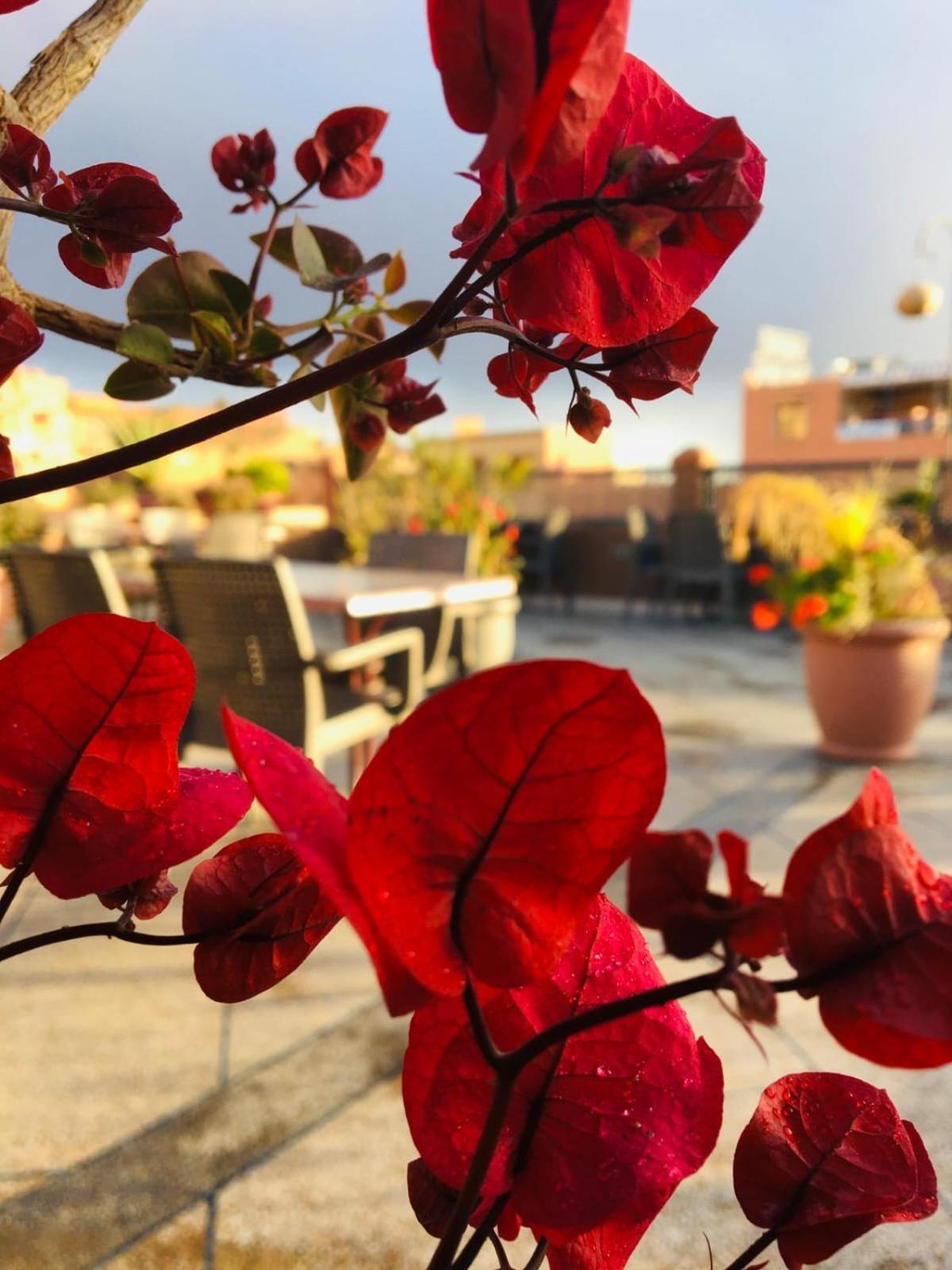 Hotel Riad Atlas Dades Boumalne Екстериор снимка